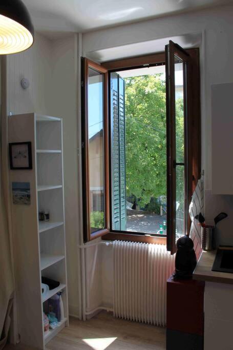 Tres Beau Studio Centre Ville, Au Calme アヌシー エクステリア 写真